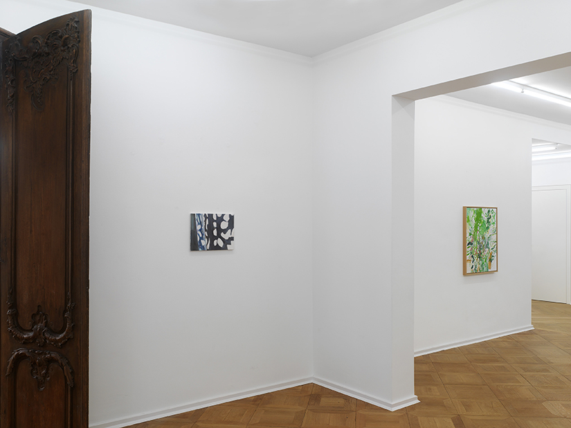 Kopfermann Fuhrmann Stiftung