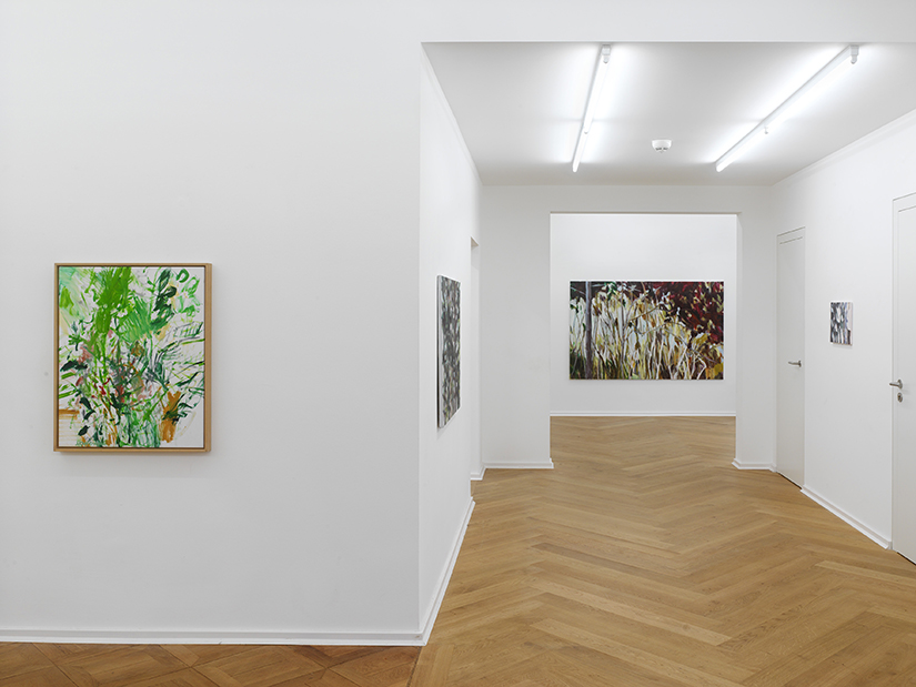 Kopfermann Fuhrmann Stiftung