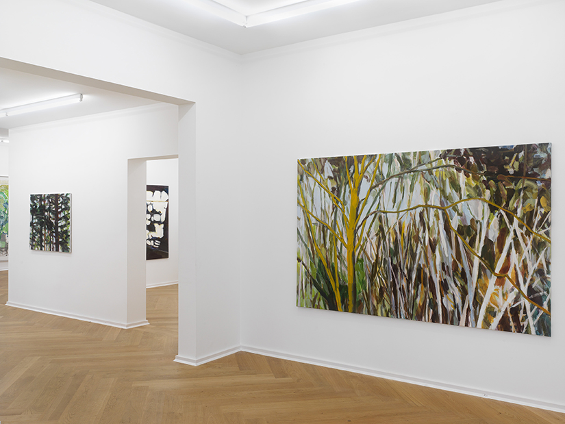 Kopfermann Fuhrmann Stiftung